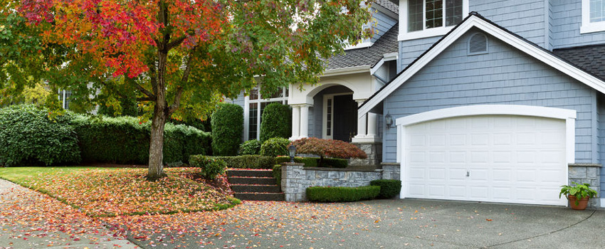 fall-window-door-screen