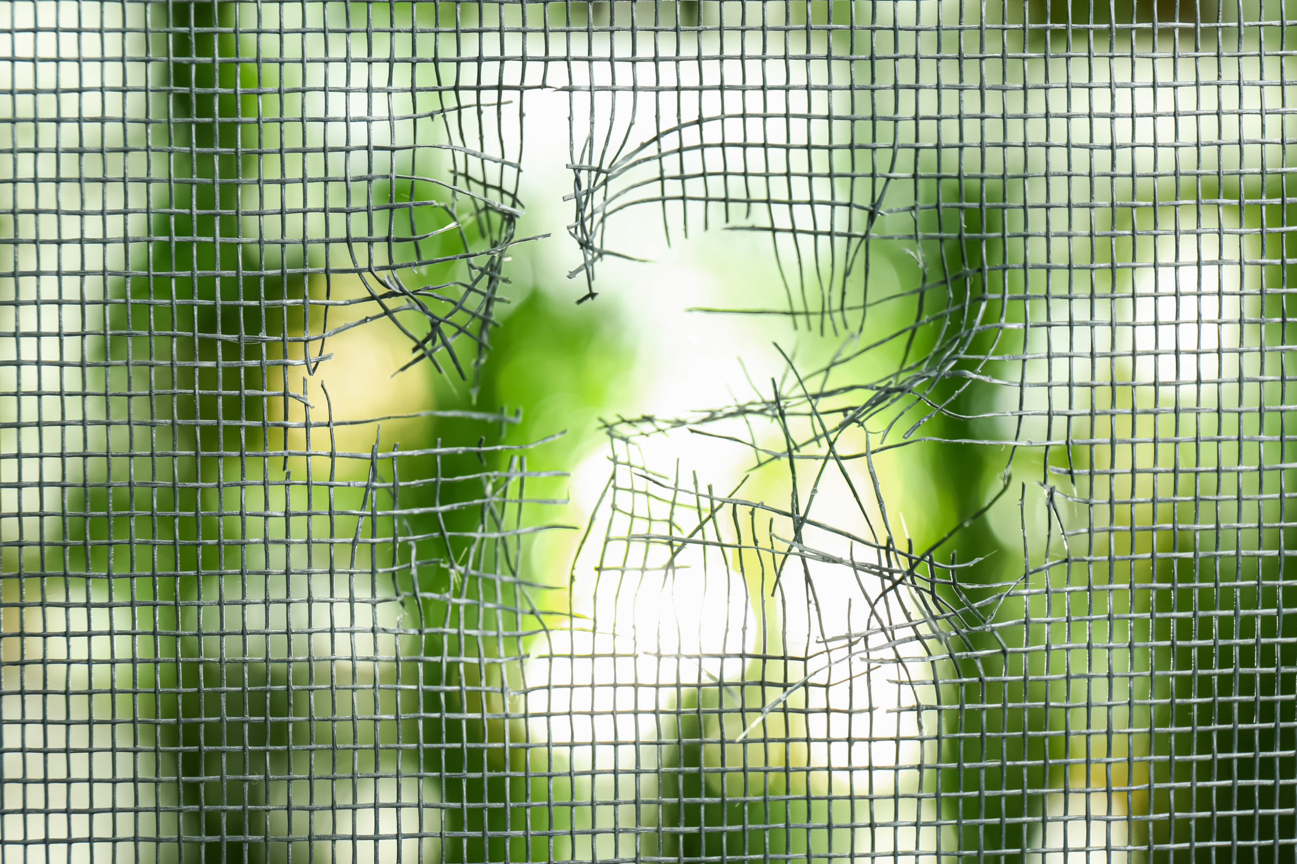 Torn window screen with blurred green background